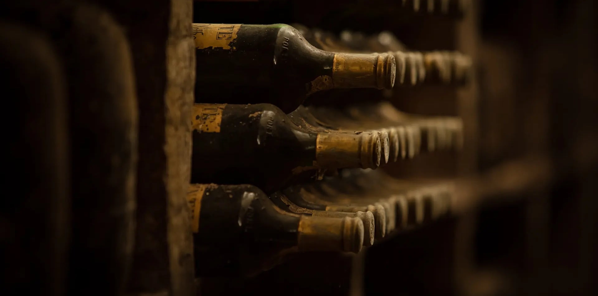 Niepoort Wines