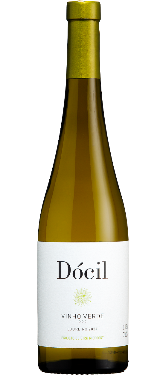 DÓCIL LOUREIRO DÓCIL LOUREIRO