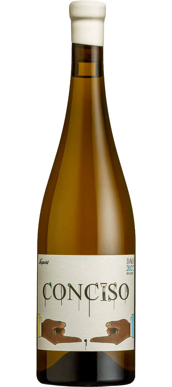 CONCISO BRANCO CONCISO BRANCO