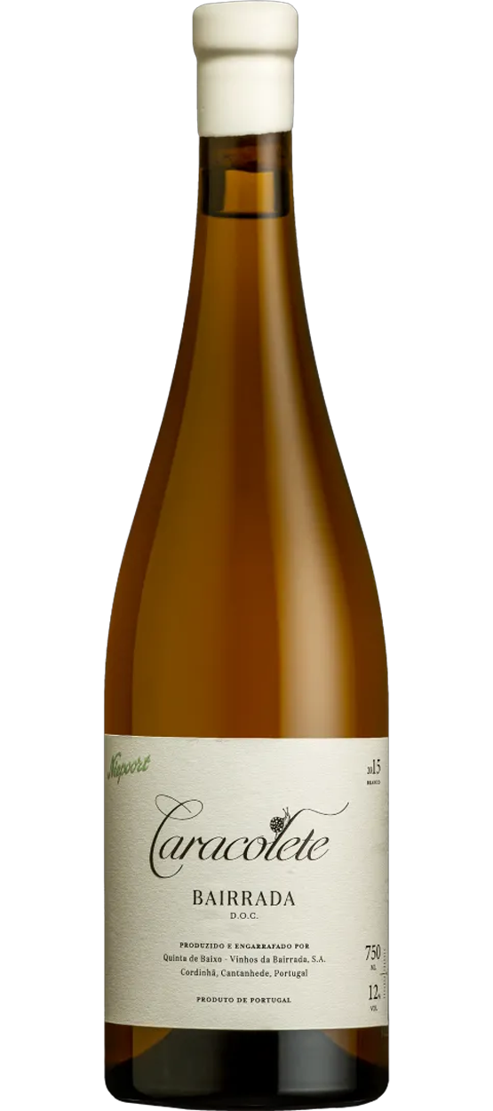 CARACOLETE BRANCO CARACOLETE BRANCO